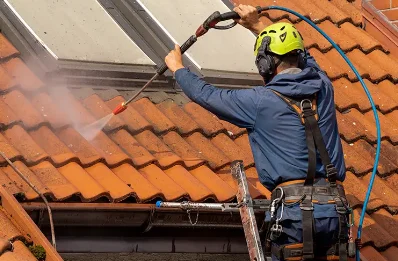 Démoussage et hydrofuge de toiture à Castelnau d'Auzan Labarrère